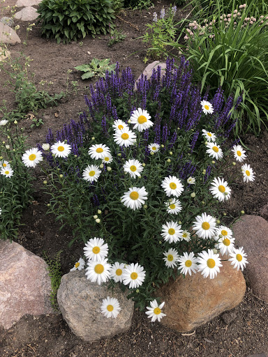 Zoo «Sibley Farm», reviews and photos, 900 Mound Avenue, Mankato, MN 56001, USA