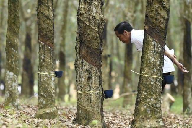 Gambar Rest Area Kerja