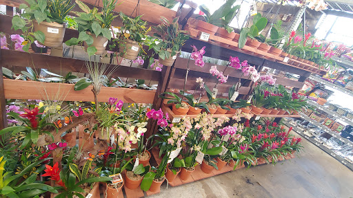 Home Improvement Store «The Home Depot», reviews and photos, 1651 S Poinciana Blvd, Kissimmee, FL 34758, USA