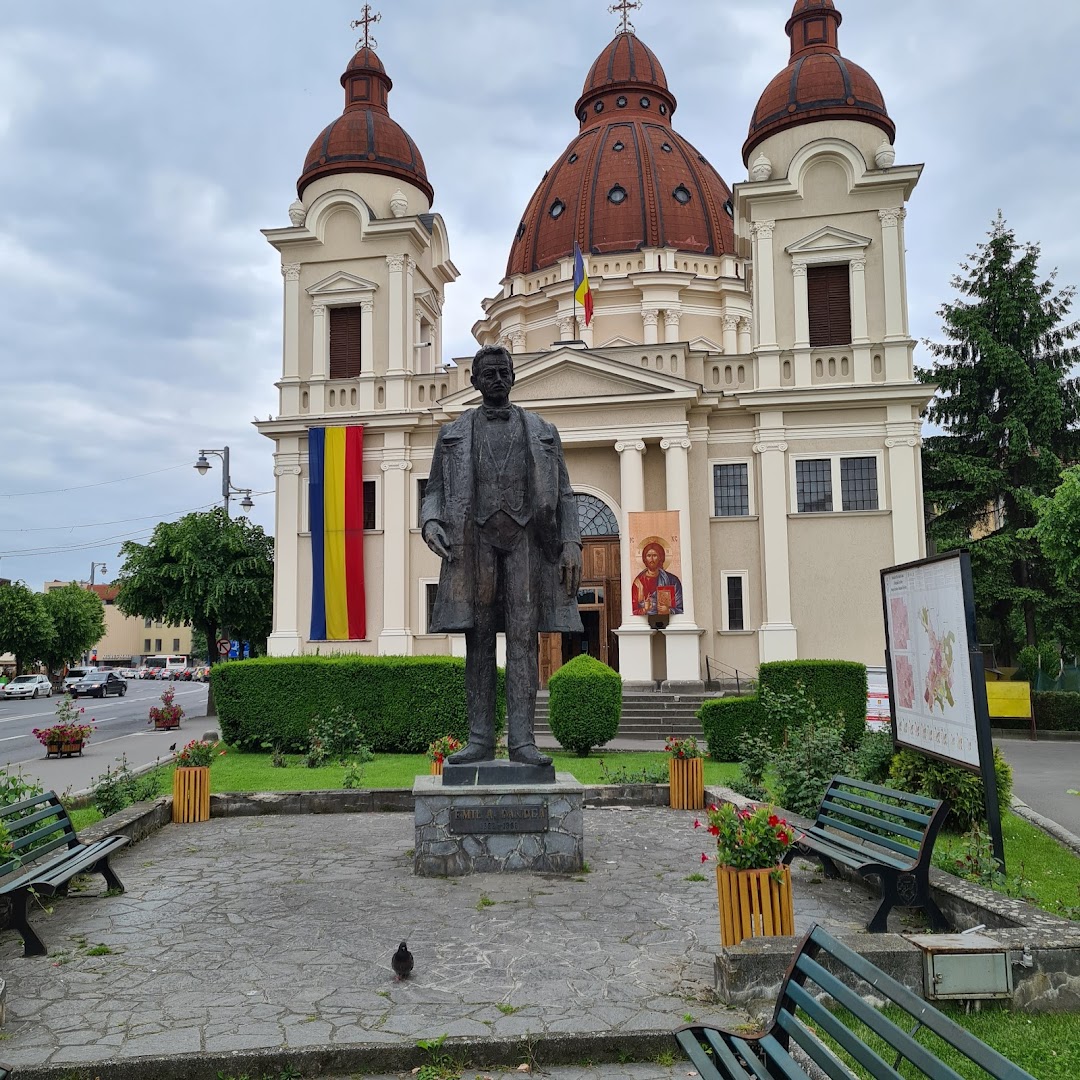 Târgu Mureș, Romanya