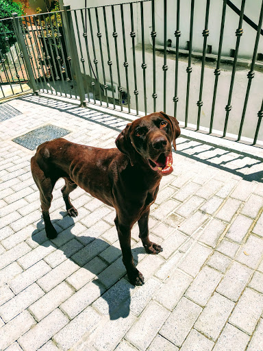 Hospital Veterinario Alhaurín El Grande en Alhaurín el Grande