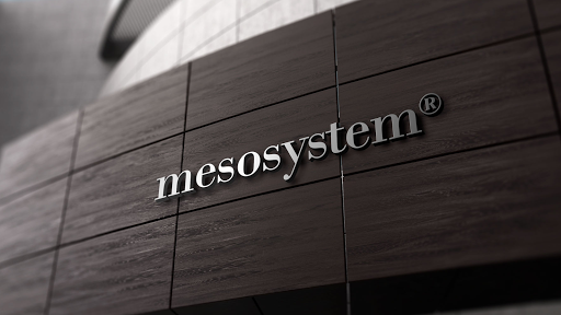 Mesosystem S.A.