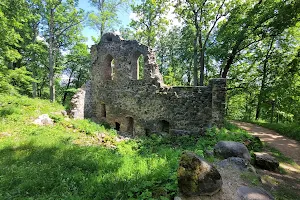 Krimulda Castle image