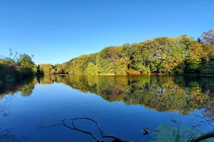 Clarks Pond image
