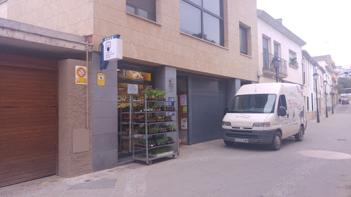 Tiendas de productos para animales en Castellar del Vallès de 2024