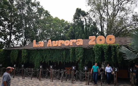 La Aurora Zoo image