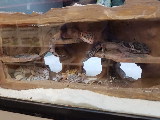 Pet Supply Store «Petco Animal Supplies», reviews and photos, 6137 Mid Rivers Mall Dr, St Charles, MO 63304, USA