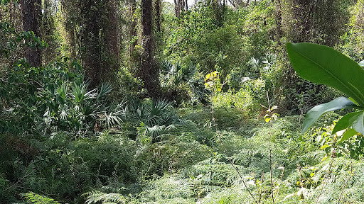 Nature Preserve «Tall Cypress Natural Area», reviews and photos, 3700 Turtle Run Blvd, Coral Springs, FL 33065, USA