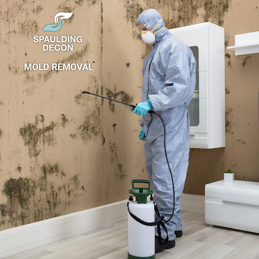 Spaulding Decon image