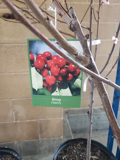 Warehouse store «Costco Wholesale», reviews and photos, 16006 Crain Hwy, Brandywine, MD 20613, USA