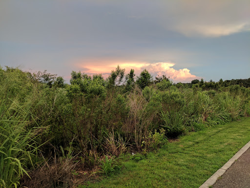 Park «Cliff Stephens Park», reviews and photos, 600 Fairwood Ave, Clearwater, FL 33759, USA