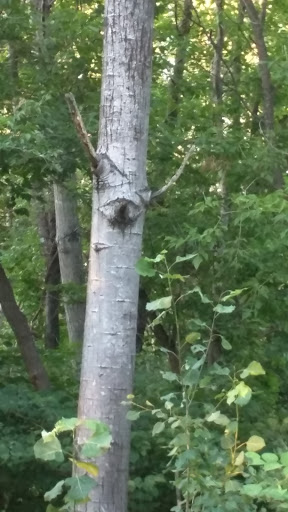 Park «Ghiloni Park», reviews and photos, 239 Concord Rd, Marlborough, MA 01752, USA