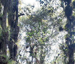 Laguna del cochi photo