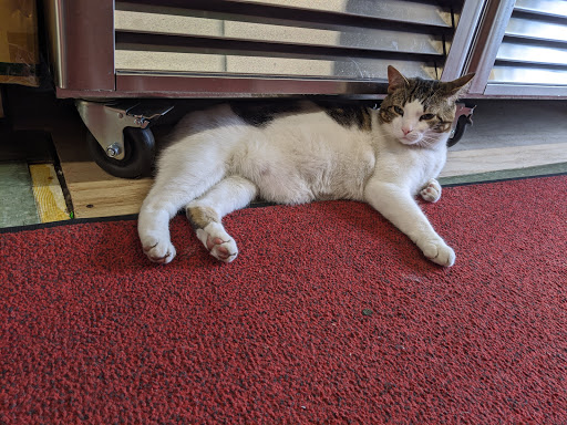 Asian Grocery Store «中西 Chinese American Mini Market», reviews and photos, 834 Park Ave, Cranston, RI 02910, USA