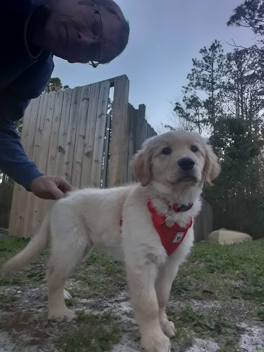 Pet Supply Store «PetSmart», reviews and photos, 5226 S College Rd, Wilmington, NC 28412, USA