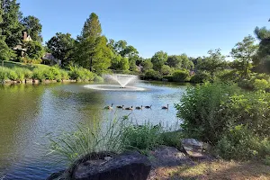 Swan Lake Park image