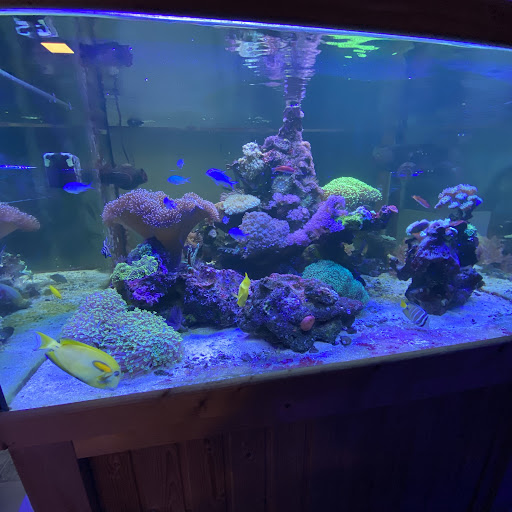 Meerwasseraquaristik Rüttgardt unter Ziesendorf, 