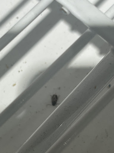 Department Store «Target», reviews and photos, 1050 Brandywine Pkwy, Wilmington, DE 19803, USA