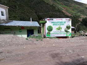 Productores de arveja verde "Unidos de Uchuymarca"