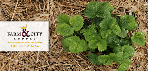 Animal Feed Store «Farm and City Supply», reviews and photos, 1825 E Army Post Rd, Des Moines, IA 50320, USA