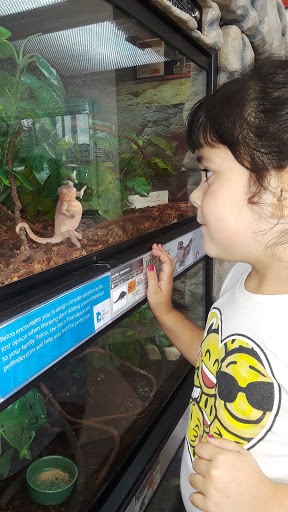 Pet Supply Store «Petco Animal Supplies», reviews and photos, 45 Holyoke St, Holyoke, MA 01040, USA