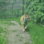 Photo n° 23 de l'avis de Jerome. fait le 06/06/2021 à 17:27 pour Zoo de Jurques à Dialan sur Chaîne