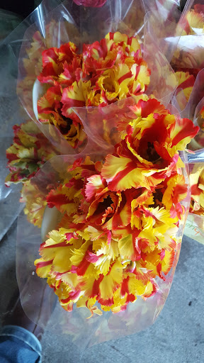 Grocery Store «New Seasons Market Mountain Park», reviews and photos, 3 Monroe Pkwy, Lake Oswego, OR 97035, USA