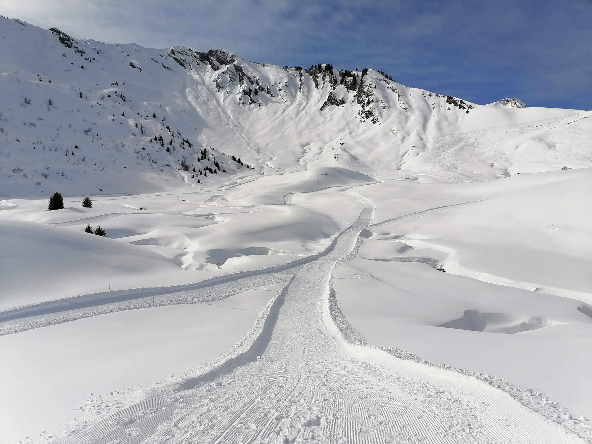 Photo n° 3 de l'avis de Lydia.o fait le 29/02/2020 à 19:49