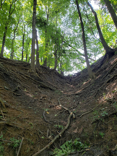 Nature Preserve «Big Brook Preserve», reviews and photos, 95 Hillsdale Rd, Colts Neck, NJ 07722, USA