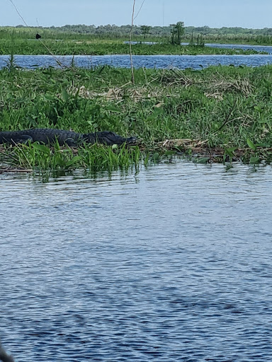 Tourist Attraction «Twister Airboat Rides», reviews and photos, 8199 W King St, Cocoa, FL 32926, USA