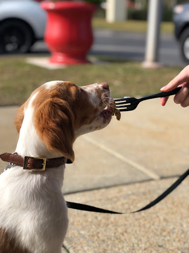 Fast Food Restaurant «Chick-fil-A», reviews and photos, 1757 E 9 Mile Rd, Pensacola, FL 32514, USA