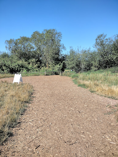 Concert Hall «Marymoor Park Concerts», reviews and photos, 6046 West Lake Sammamish Pkwy NE, Redmond, WA 98052, USA