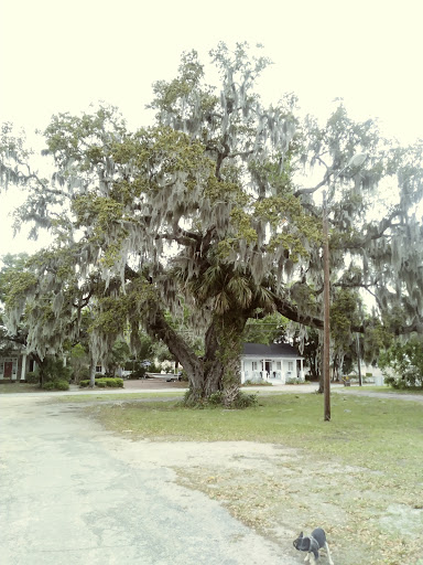 Museum «Santa Elena History Center», reviews and photos, 1501 Bay St, Beaufort, SC 29902, USA