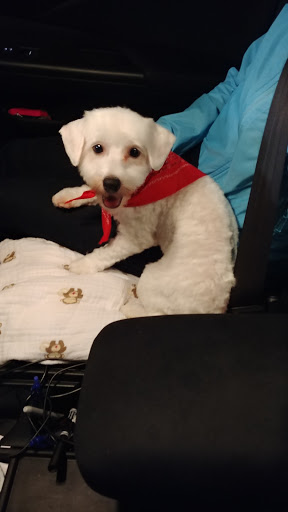 Pet Supply Store «PetSmart», reviews and photos, 400 Universal Dr N, North Haven, CT 06473, USA