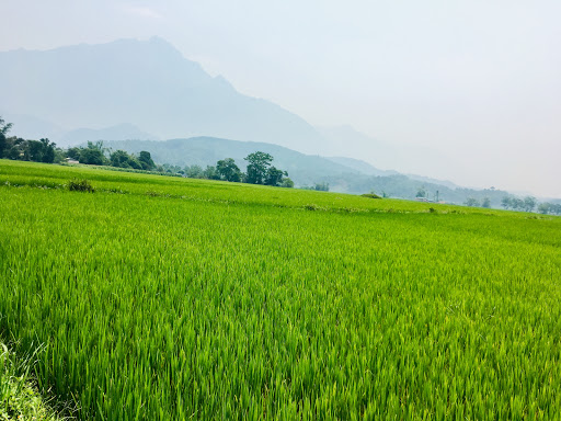 Công Ty TNHH Du Lịch Đường Mòn Miền Núi