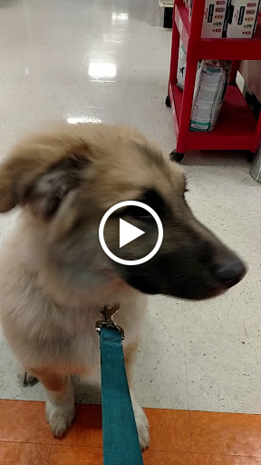 Pet Supply Store «PetSmart», reviews and photos, 11835 Retail Dr, Wake Forest, NC 27587, USA