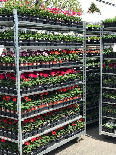 Hardware Store «Norridge Ace Hardware Home Center», reviews and photos, 8330 W Lawrence Ave, Norridge, IL 60706, USA