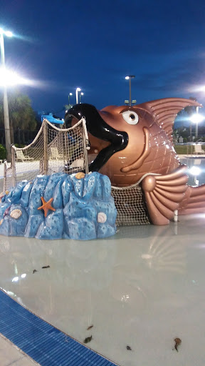 Recreation Center «New Port Richey Recreation & Aquatic Center», reviews and photos, 6630 Van Buren St, New Port Richey, FL 34653, USA