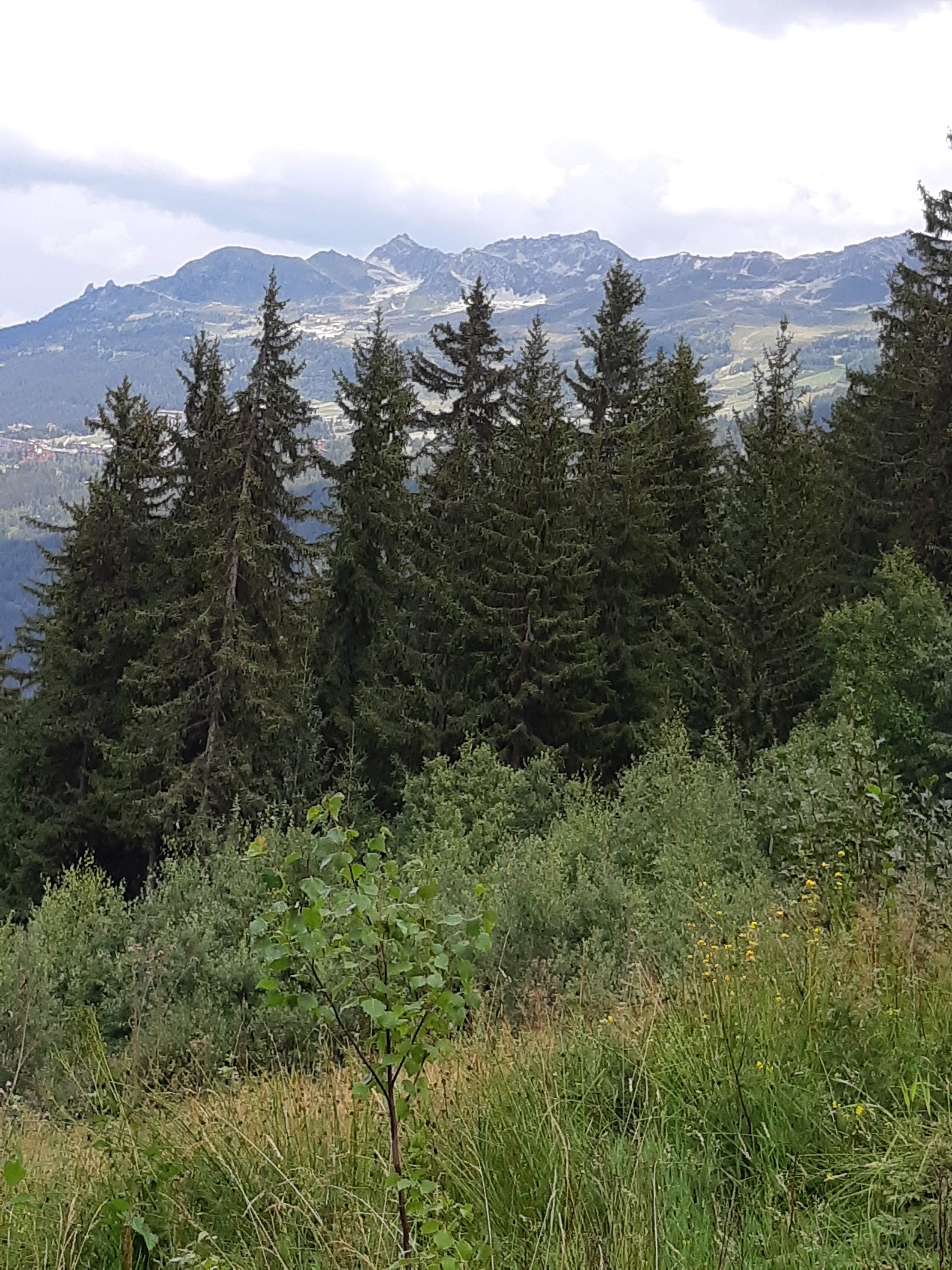 Photo n° 30 de l'avis de Michelle.a fait le 20/09/2018 à 21:44