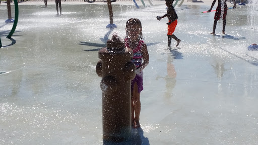 Skateboard Park «Anderson Water Park», reviews and photos, 1830 Fordney St, Saginaw, MI 48601, USA