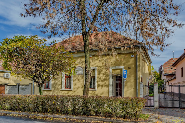 Értékelések erről a helyről: Zirzen Janka szülőháza, Jászberény - Múzeum
