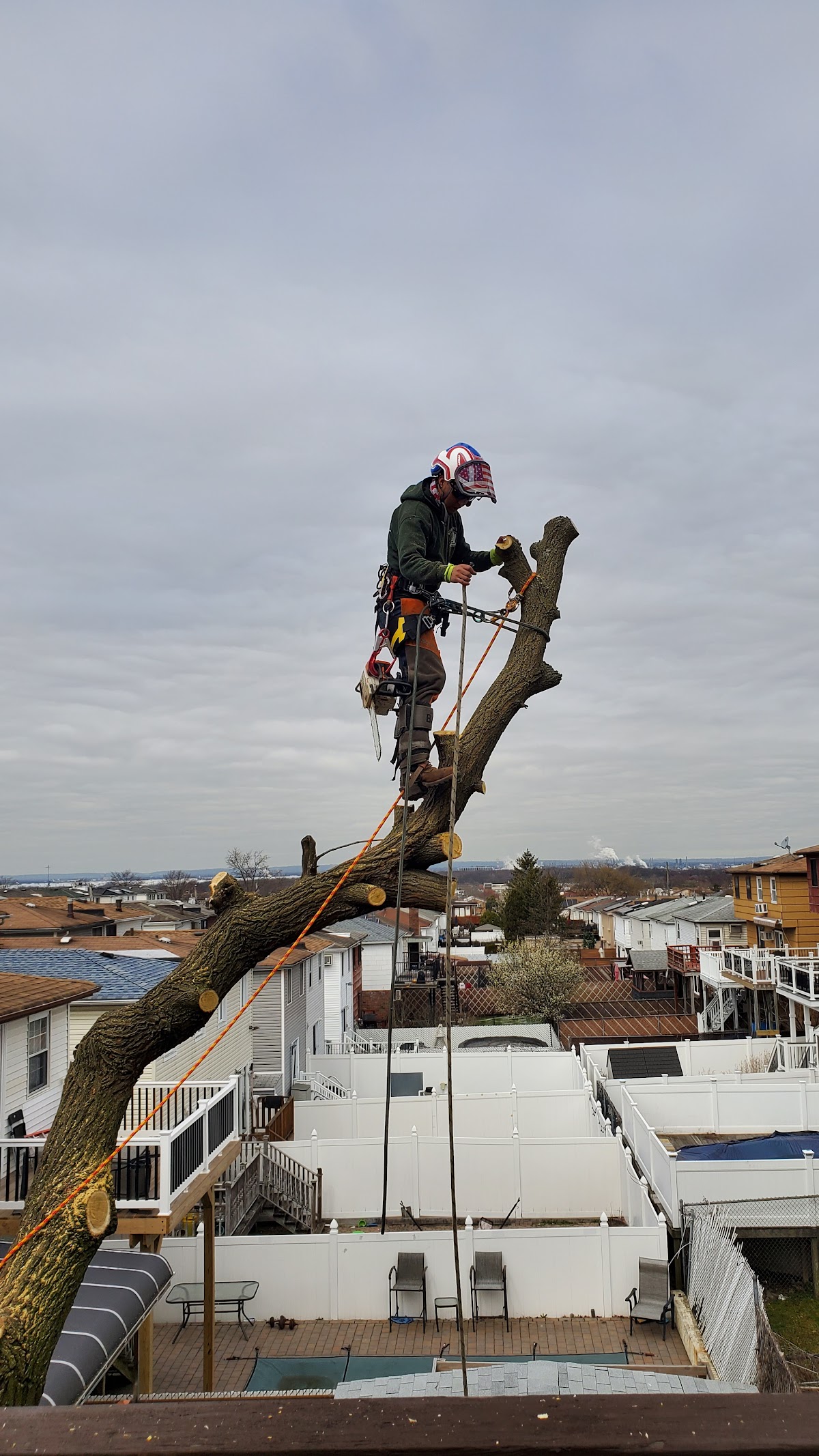 “I can’t say enough good things about the exceptional service provided by Kyles Tree Service Company]