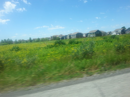 Golf Course «Otte Golf & Family Fun Center», reviews and photos, 681 Sheek Rd, Greenwood, IN 46143, USA