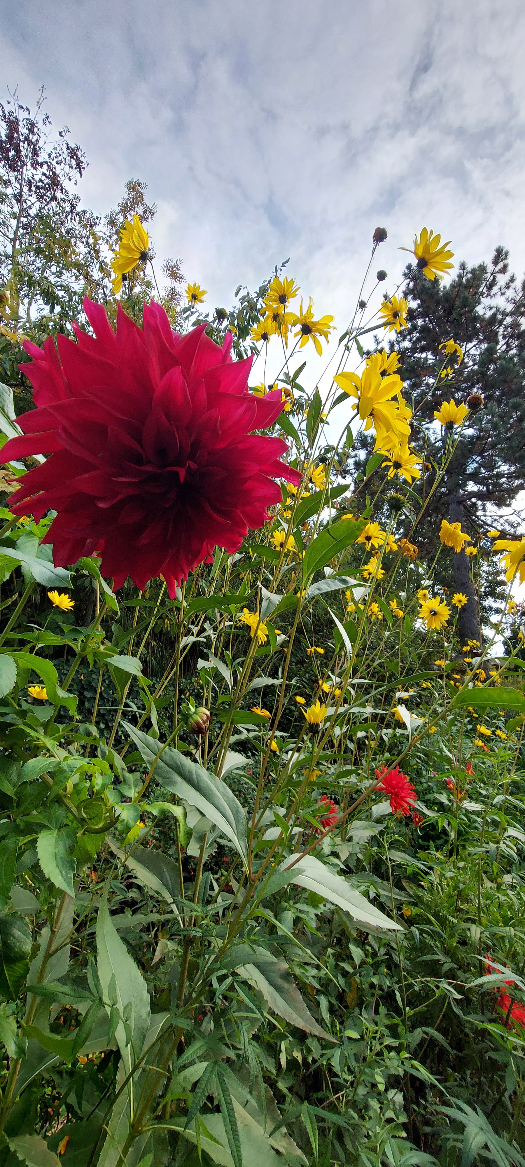 Photo n° 4 de l'avis de mercier.s fait le 31/10/2022 à 21:24