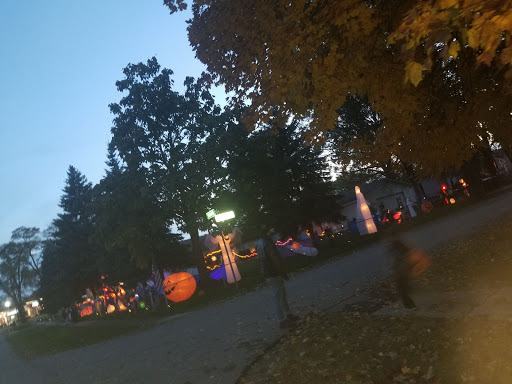 Vaporizer Store «Wildtree Smoke Shop», reviews and photos, 47056 Dequindre Rd, Shelby Charter Township, MI 48317, USA