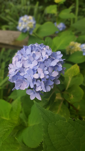 Nature Preserve «Cotton Hollow Preserve», reviews and photos, 493 Hopewell Rd, South Glastonbury, CT 06073, USA