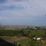 Photo n°3 de l'avis de Giada.e fait le 23/08/2019 à 23:10 sur le  Villa Ugolini Ristorante Albergo à Cingoli