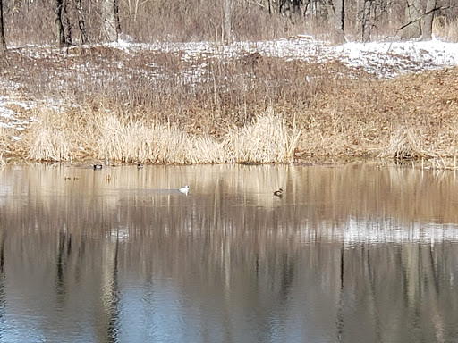 Nature Preserve «Fort Sheridan Forest Preserve», reviews and photos, 117 Sheridan Rd, Lake Forest, IL 60045, USA