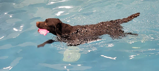 Pet Supply Store «Pet Depot Inc», reviews and photos, 2151 Greenspring Dr, Lutherville-Timonium, MD 21093, USA