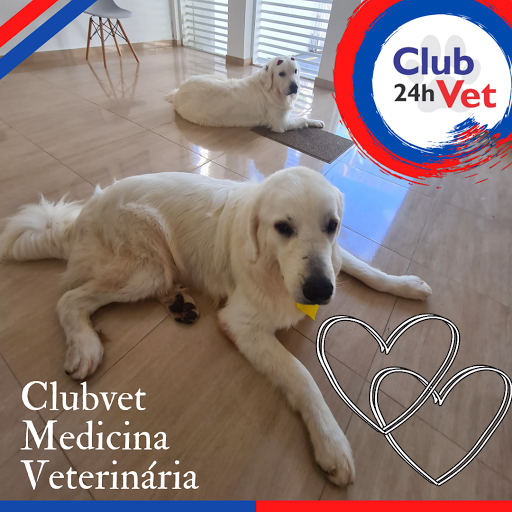 Clubvet 24h em Campinas - SP